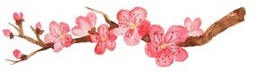 中国风水墨梅远山节日秋
