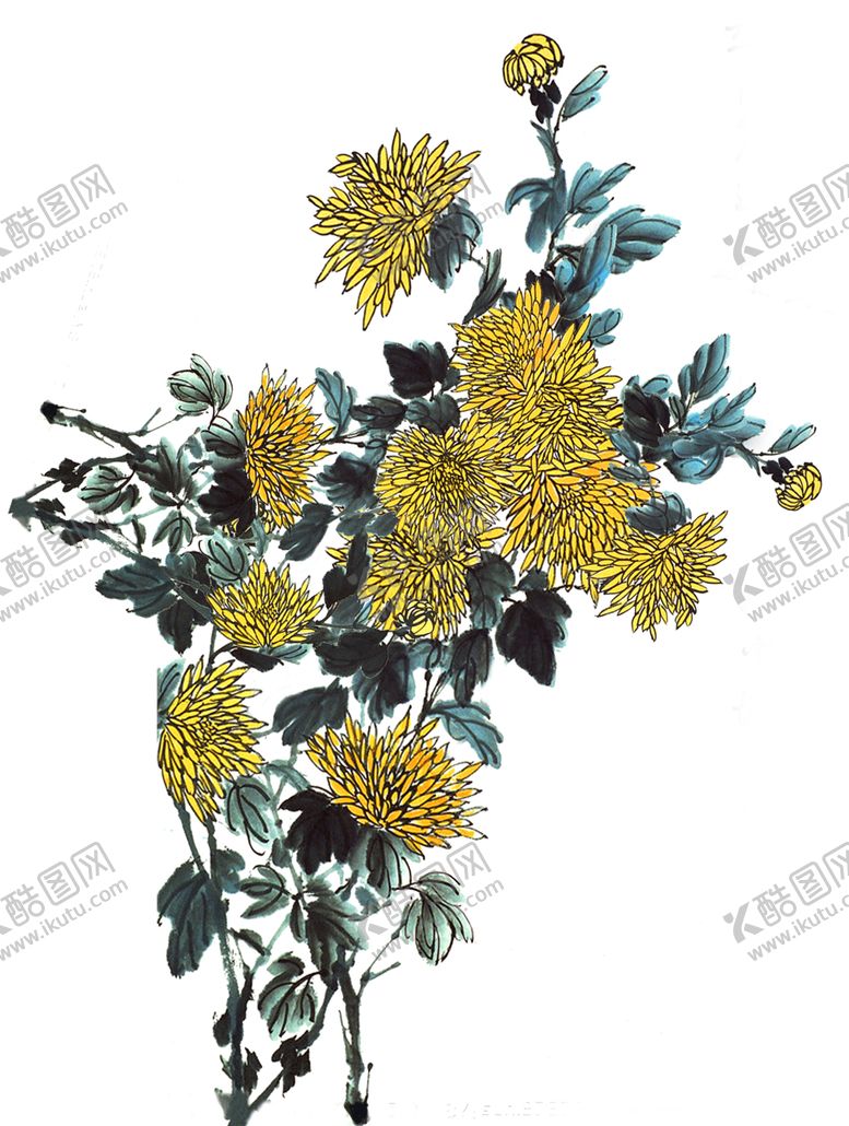 编号：55681209141453078620【酷图网】源文件下载-国画菊花