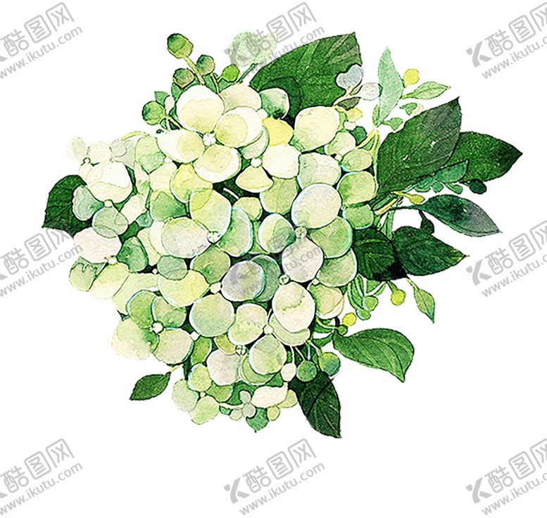 编号：85231907081331264120【酷图网】源文件下载-植物