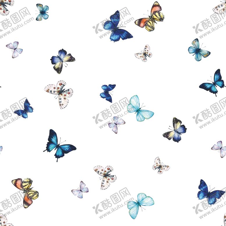 编号：23358109240531133711【酷图网】源文件下载-蝴蝶