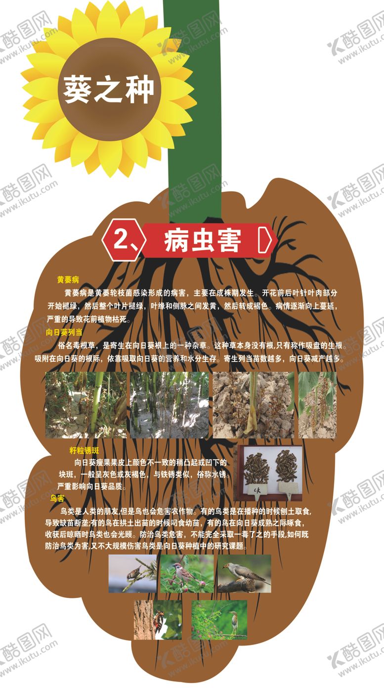 编号：58519906231847061699【酷图网】源文件下载-向日葵