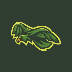 雄鹰LOGO