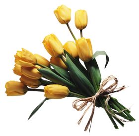 免扣花束图片