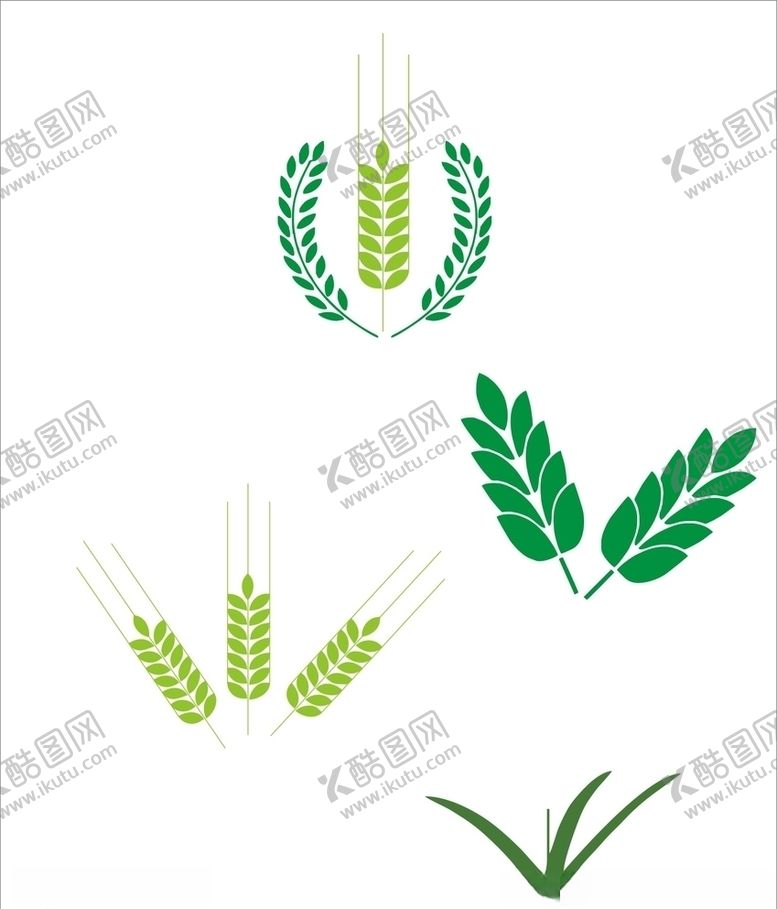编号：63895405142142466289【酷图网】源文件下载-麦穗麦粒