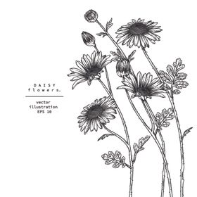 花卉花蕊