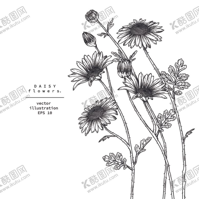 编号：60680109140900009173【酷图网】源文件下载-花卉花蕊