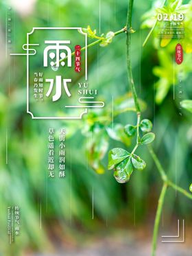 雨水海报微信稿素材24节气宣传
