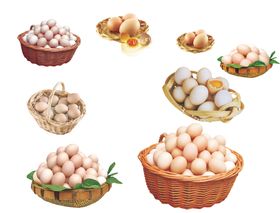 鸡蛋素材各种鸡蛋图