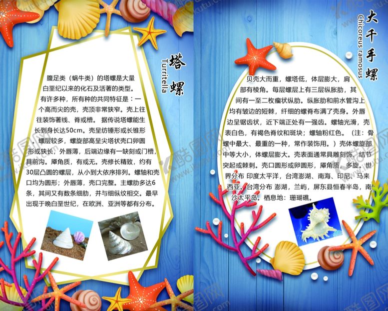 编号：22884605112212273996【酷图网】源文件下载-海洋馆