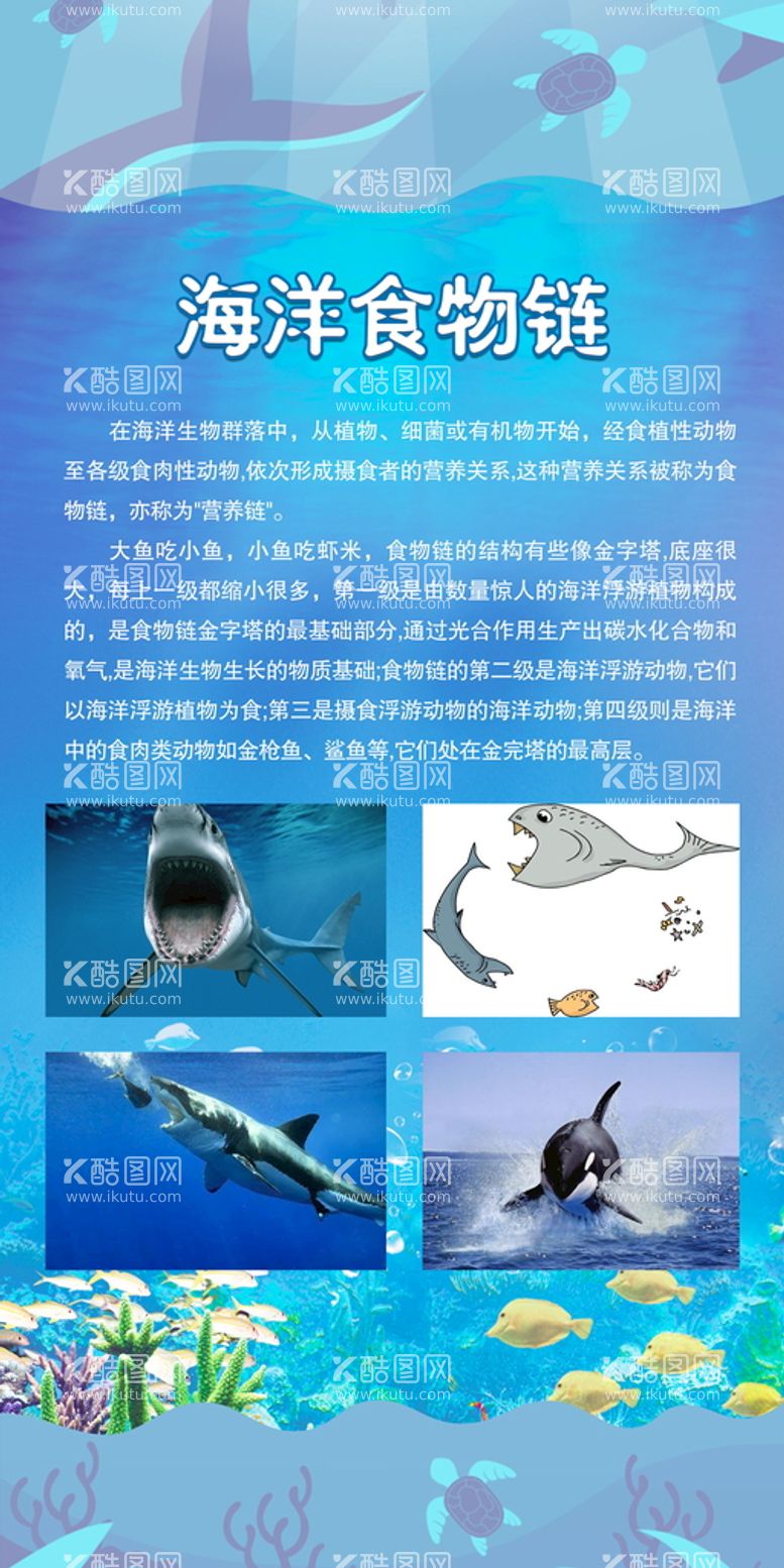 编号：90625109152352087086【酷图网】源文件下载-海洋生物链