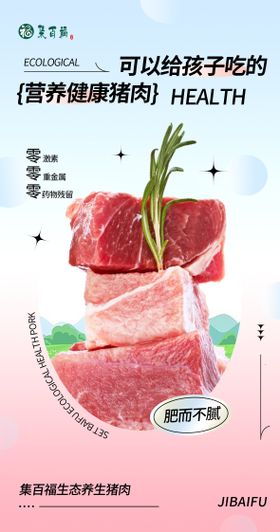 生态猪肉海报