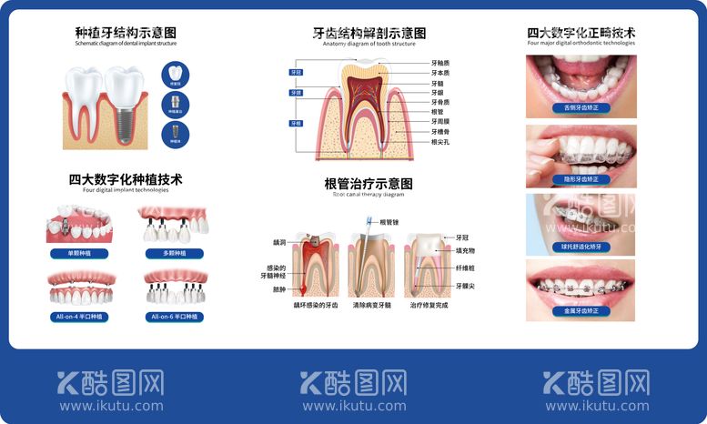 编号：21837911280548047753【酷图网】源文件下载-口腔科普展板