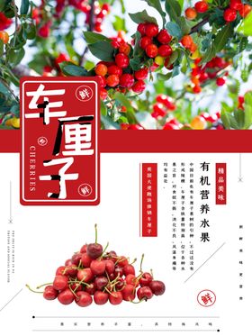 水果促销车厘子蓝色简约海报