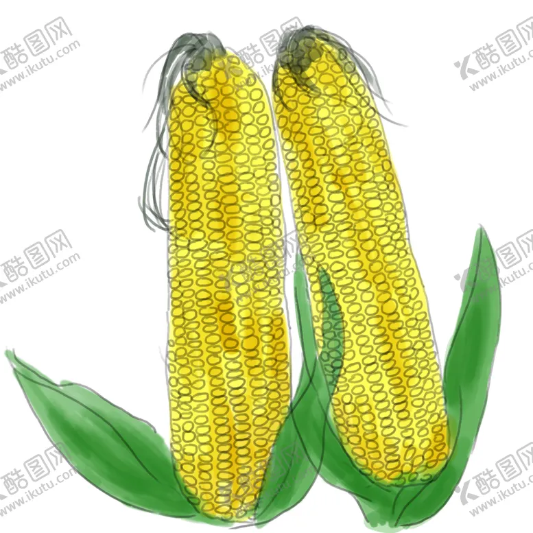 编号：53880602130820072213【酷图网】源文件下载-秋季农作物玉米手绘插画