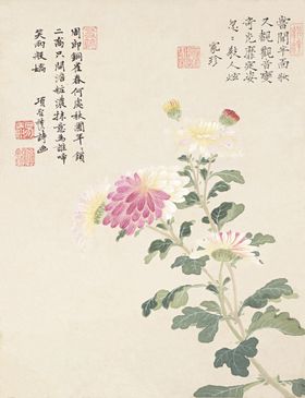 精美工笔花卉图