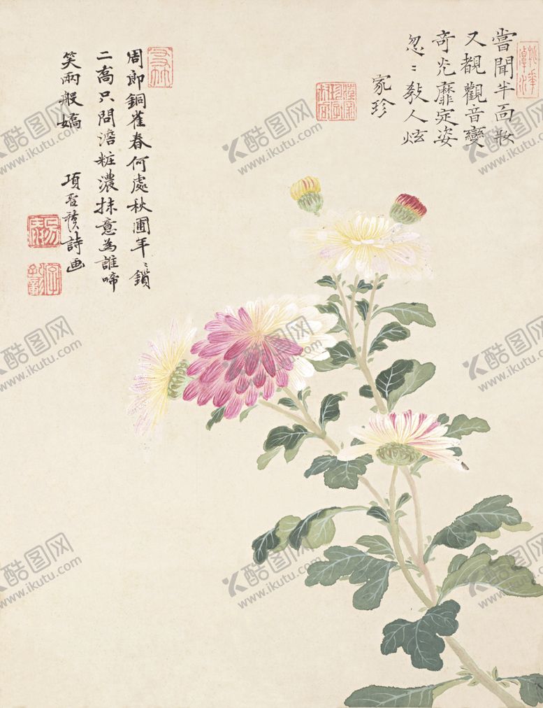 编号：40081107130251128286【酷图网】源文件下载-精美工笔花卉图