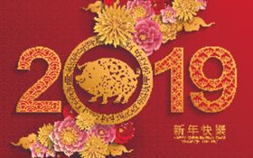 新年海报模板气氛猪卡片设计