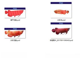 免抠红龙鱼水族观赏鱼素材
