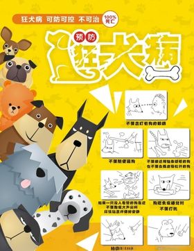 预防狂犬病