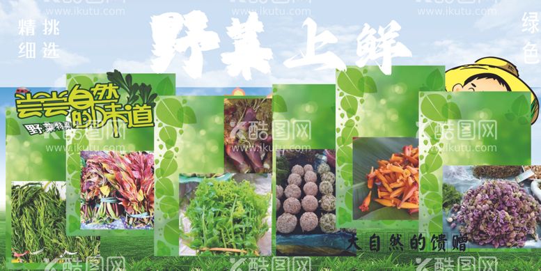 编号：21524812142235322052【酷图网】源文件下载-野菜上鲜