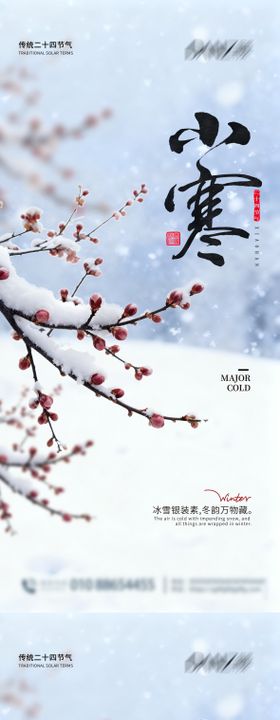 大寒小寒海报
