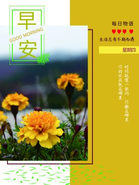 早安