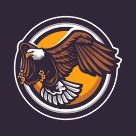 雄鹰LOGO