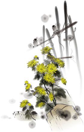 国画菊花