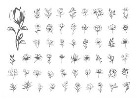 手绘花卉植物装饰图案