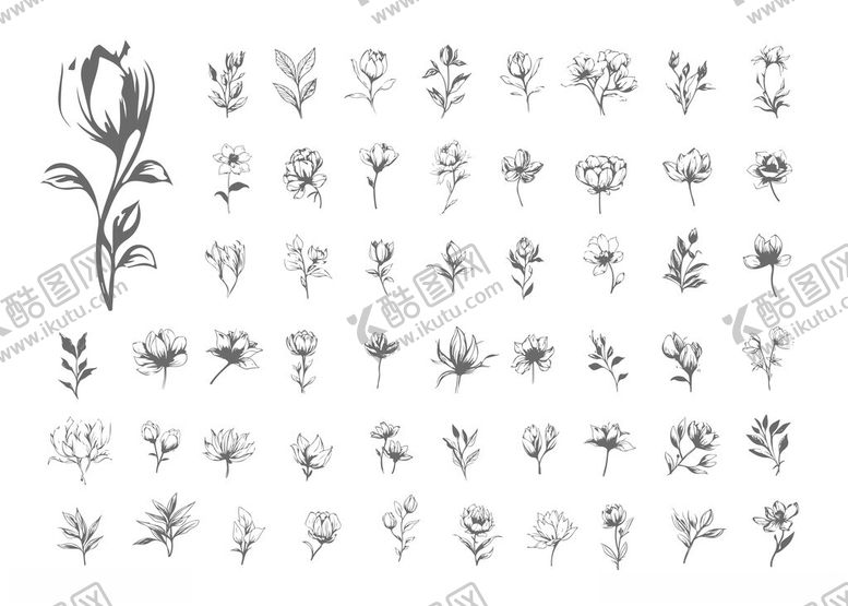 编号：78558711182013454677【酷图网】源文件下载-手绘植物花卉图案集合