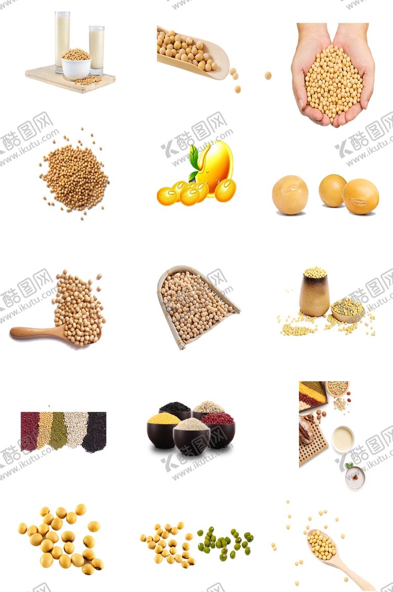 编号：46914805161714097095【酷图网】源文件下载-黄豆素材