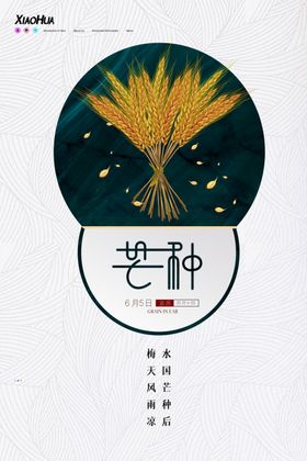 简约二十四节气芒种创意海报