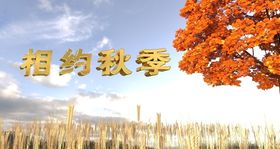 简约创意金秋十月宣传海报