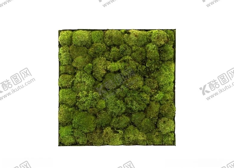编号：11974207062051235454【酷图网】源文件下载-苔藓3d模型