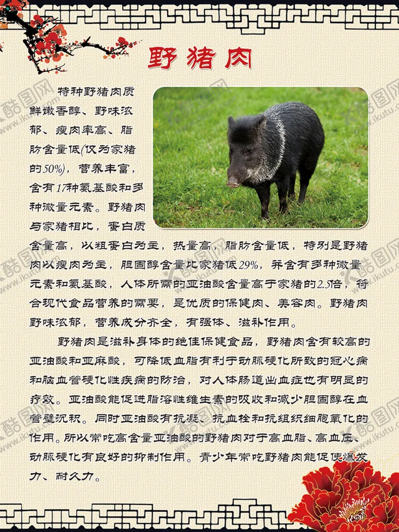 编号：41039709231056517914【酷图网】源文件下载-野猪肉  野味