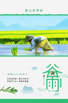 谷雨