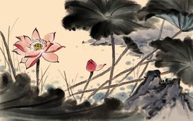 手绘荷花插画