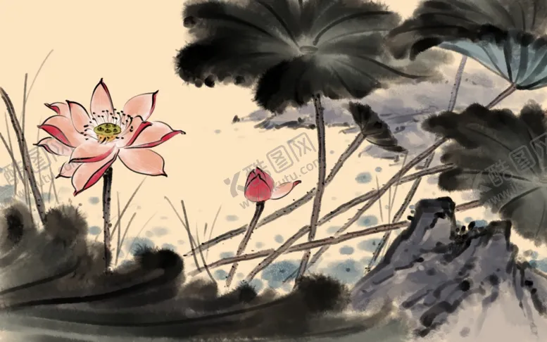 编号：51074107011505061425【酷图网】源文件下载-手绘荷花插画