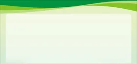 绿色展板背景