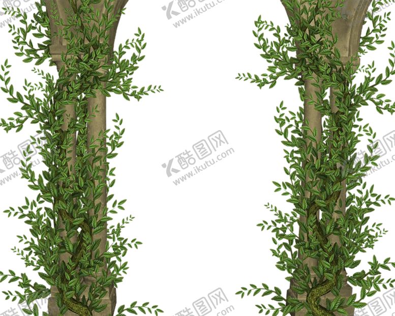 编号：48283110202051324380【酷图网】源文件下载-绿色植物