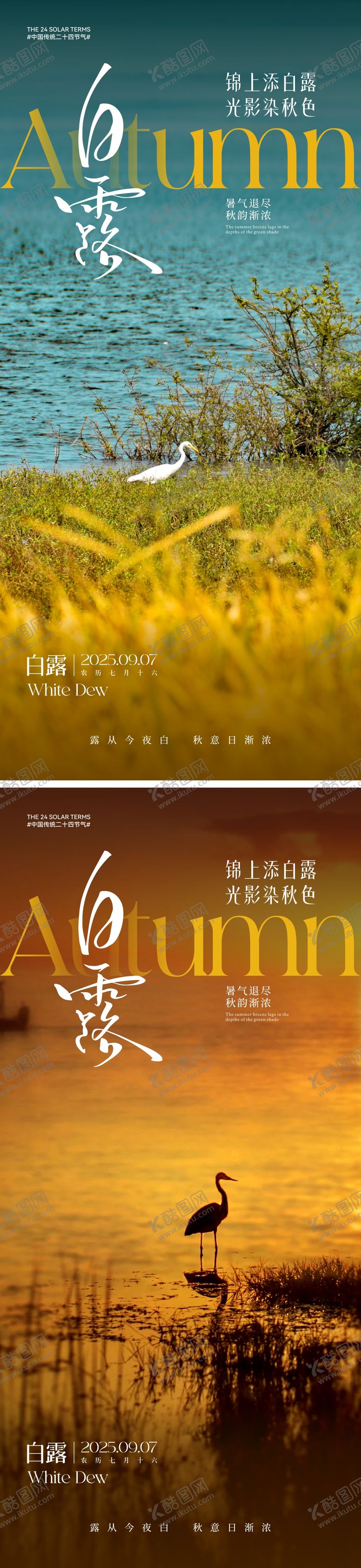 编号：94633108181052325627【酷图网】源文件下载-白露节气海报