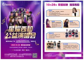 商业地产演唱会活动DM单页