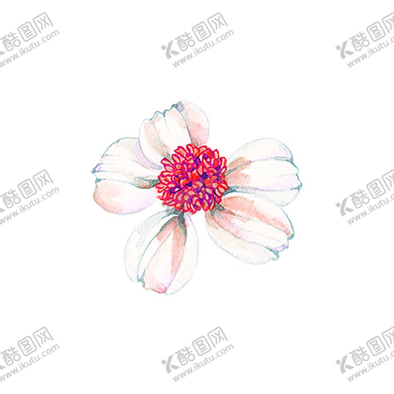编号：23560105142338533031【酷图网】源文件下载-鲜花素材