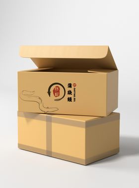 运输包装箱子样机
