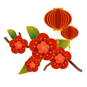 灯笼花