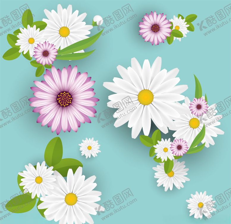 编号：14043709161058019361【酷图网】源文件下载-野菊花小雏菊Daisy鲜花花朵