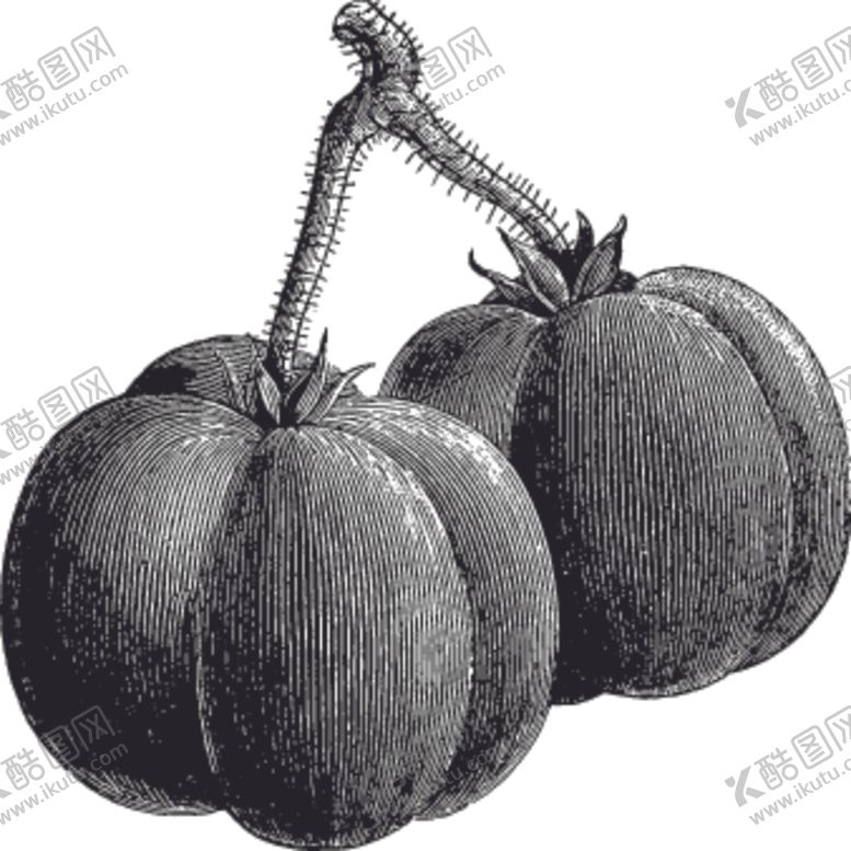 编号：91308610241800457183【酷图网】源文件下载-素描手绘蔬菜
