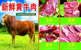 黄牛肉