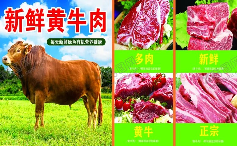 编号：18303302142207043117【酷图网】源文件下载-黄牛肉