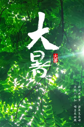 大暑节气海报微信宣传海报